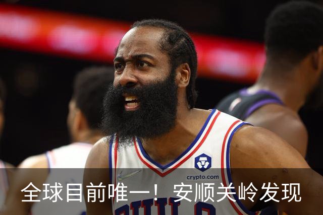 全球目前唯一！安顺关岭发现