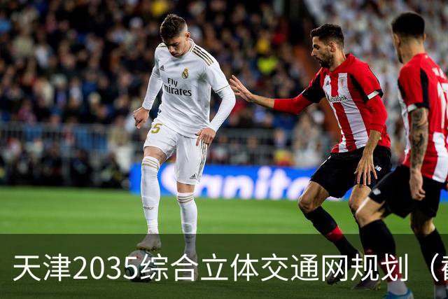 天津2035综合立体交通网规划（截至2026年10月建设进展）